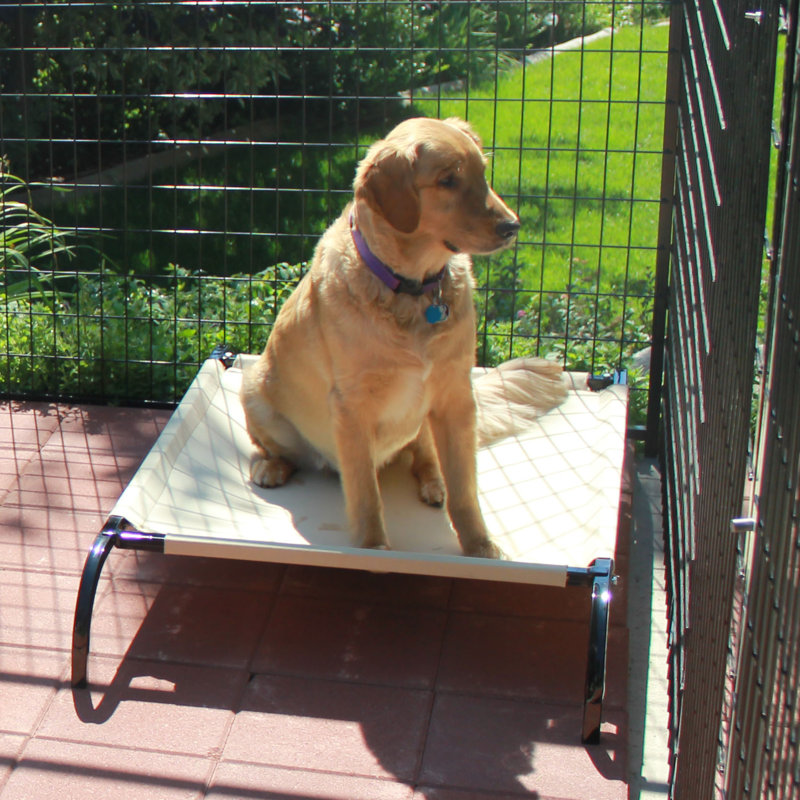 K9 Kennel HeavyDuty Canvas Cot Dog Furniture Style & Reviews Wayfair