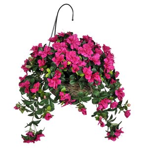 Azalea Hanging Floral Arrangement in Planter