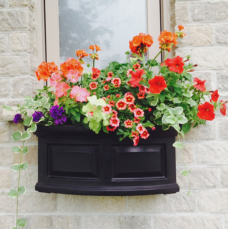 Mayne Inc. Nantucket SelfWatering Plastic Window Box