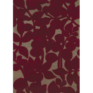 Allure Allurerary Rich Red Area Rug