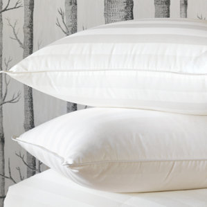 Rhapsody Luxe 100% Down Pillow by Eastern Accents