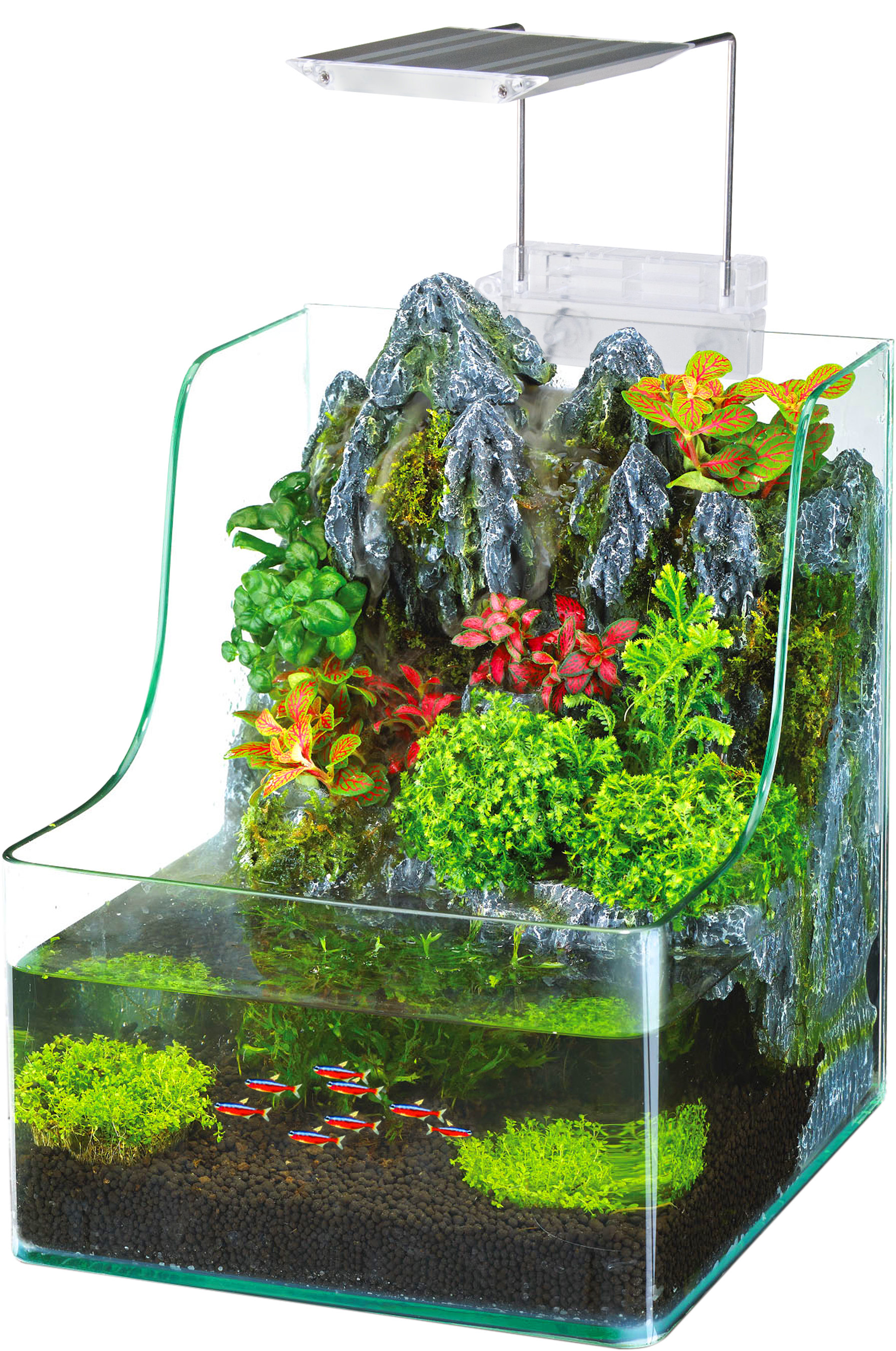 penn plax 1 gallon