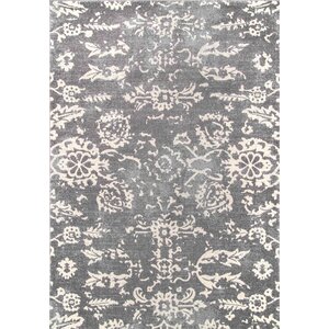 Asleigh Charcoal Area Rug