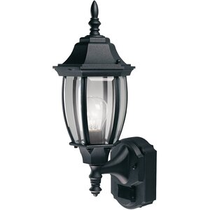 Lakeside 1-Light Contemporary Outdoor Sconce