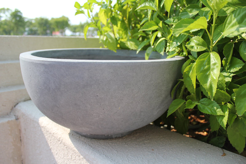 Modern Concrete Pot Planter & Reviews | AllModern Modern Concrete Pot Planter & Reviews | AllModern