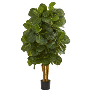 Summerhill Leaf Floor Foliage Tree in Planter