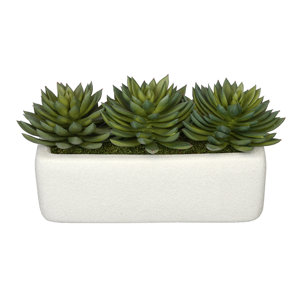Artificial Pointed Desktop Echeveria Plant in Decorative Vase