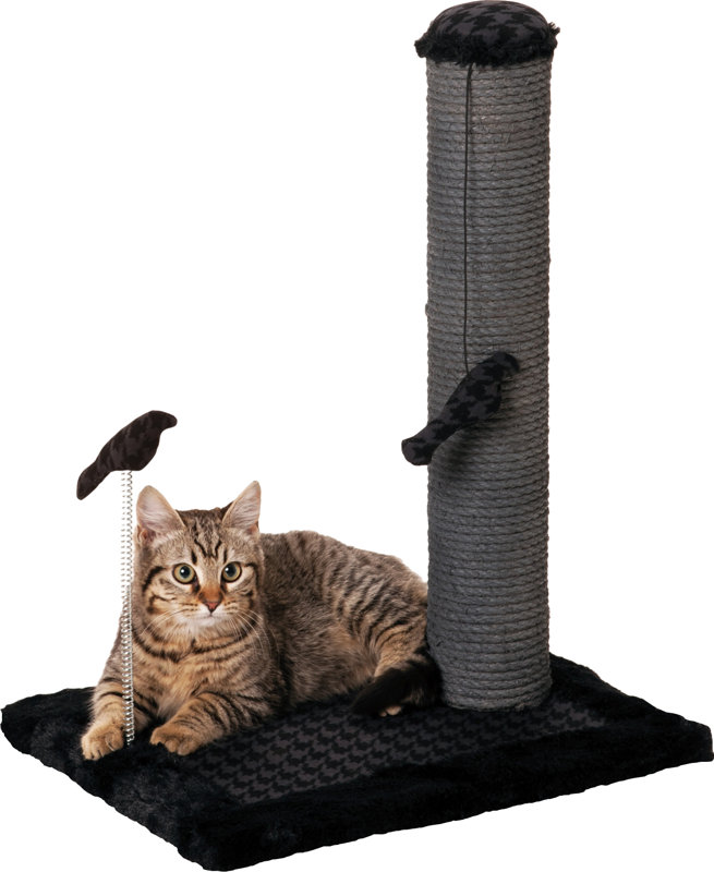 sisal scratch post