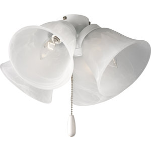 4-Light Branched Ceiling Fan Light Kit