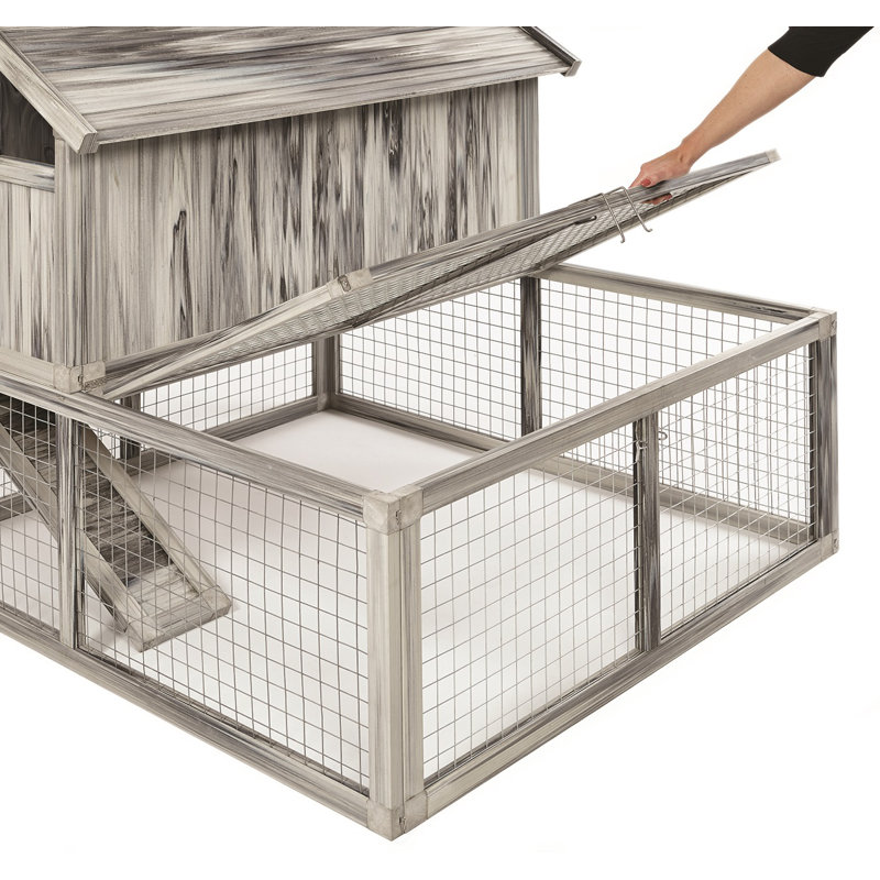 Tucker Murphy Pet Dixon Composite Plastic/Wood Chicken Coop & Reviews