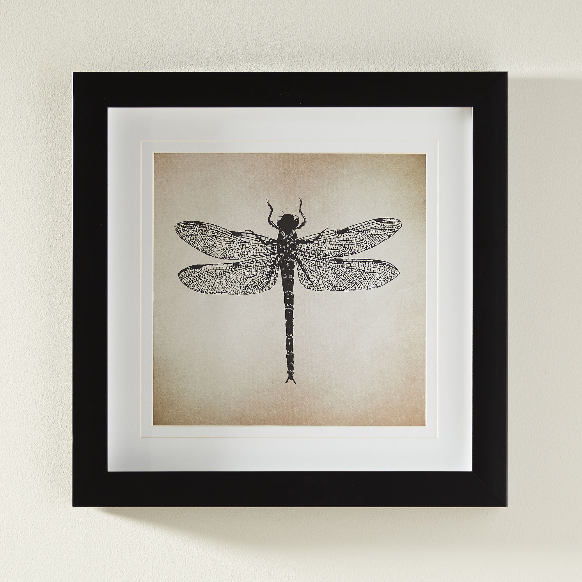 Birch Lane Dragonfly Framed Print | Wayfair.ca