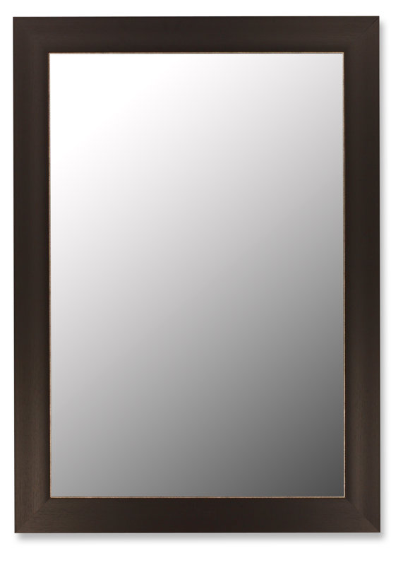 Hitchcock Butterfield Company Espresso and Silver Accent Wall Mirror