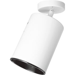 Lamberton 1-Light Semi-Flush Mount