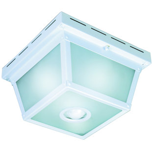 Motion Sensor Ceiling Light Wayfair Quickview