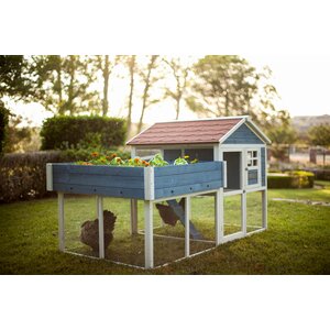 The Rooftop Garden Chicken Coop