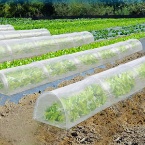 2 Ft. W x 16.5 Ft. D Mini Greenhouse