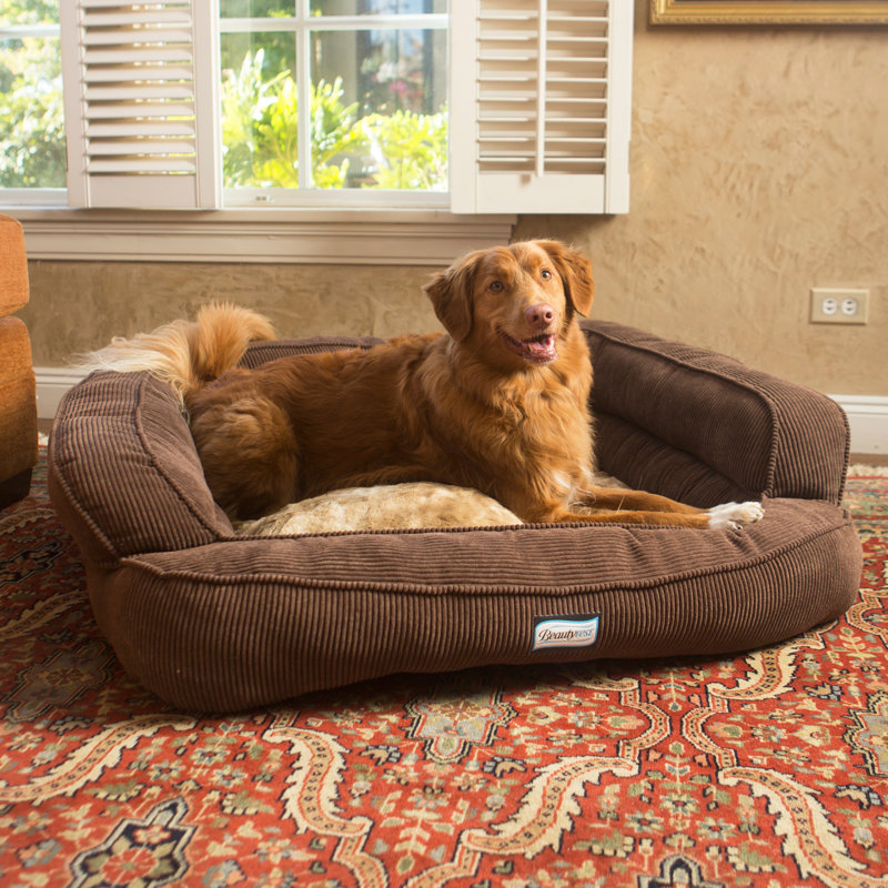 Beautyrest Colossal Rest Orthopedic Memory Foam Extra Large Dog Bed