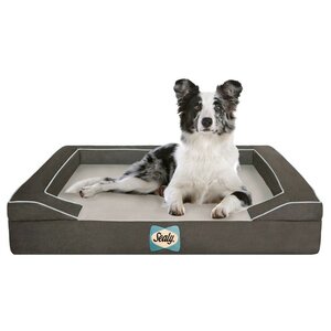 Sealy Lux Bolster Dog Bed