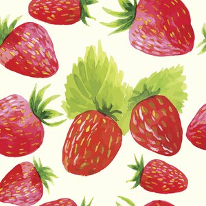 Strawberry Fields Removable 5' x 20