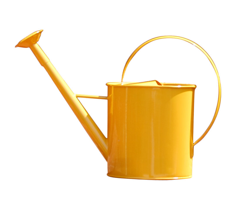 Griffith Creek Designs Metal 1 Gallon Watering Can With Long Spout Metal 1 Gallon Watering Can With Long Spout