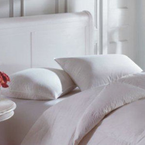 Cascada 100% Down European Pillow by Downright