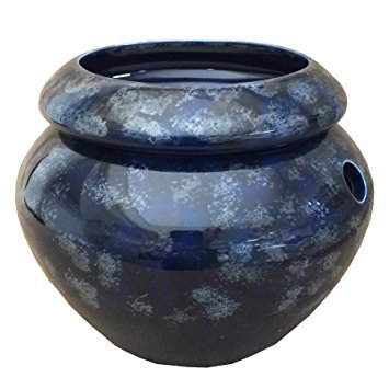 Maryland China Self Watering Ceramic Pot Planter Reviews Wayfair Self Watering Ceramic Pot Planter