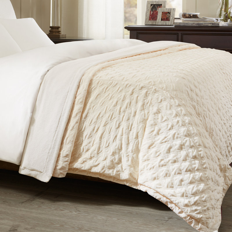 Victoria Throw & Reviews AllModern