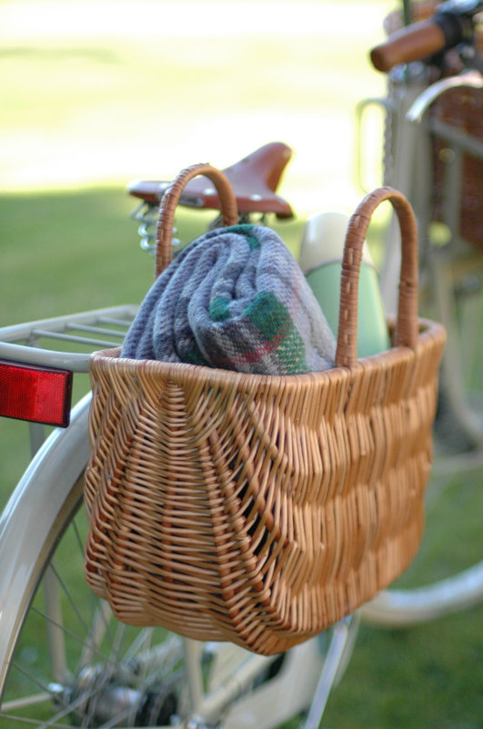 Quickway Imports Wicker Shopping Bike Basket & Reviews Wayfair
