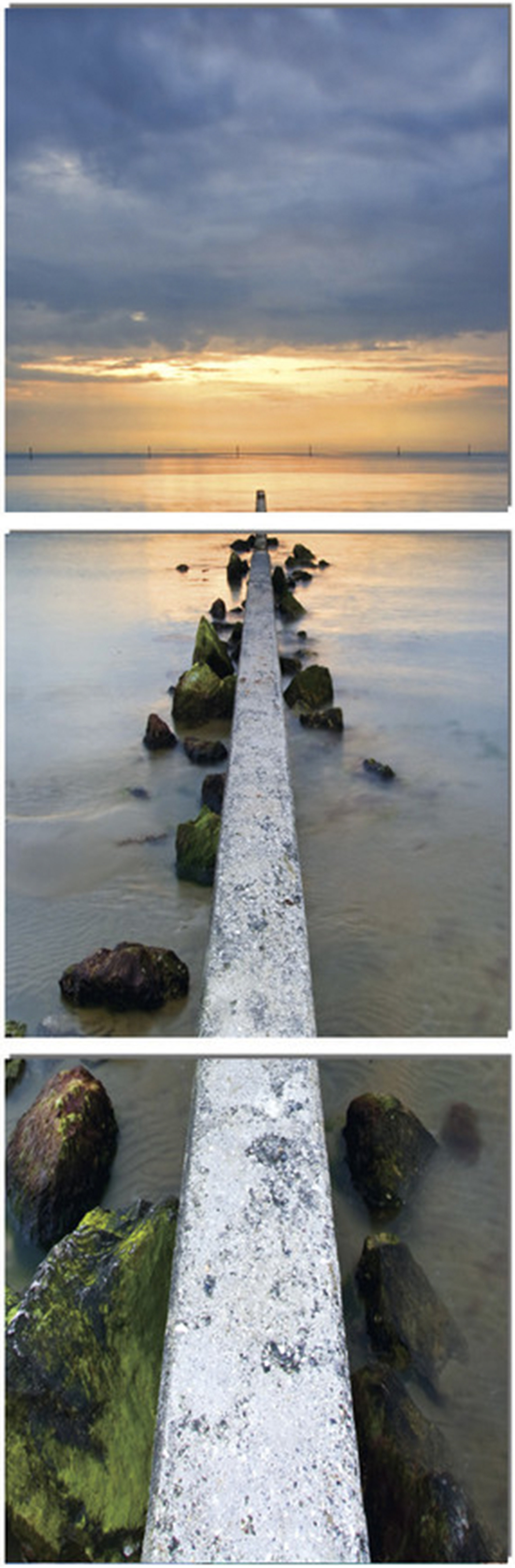 3 Panel Photo Wayfair