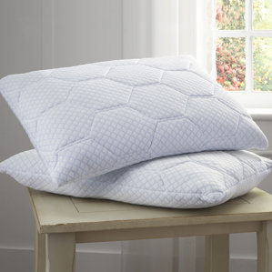 Cooling Gel Reversible Memory Foam Pillow by Alwyn Home