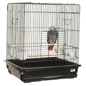 Flat Top Small  Bird Cage