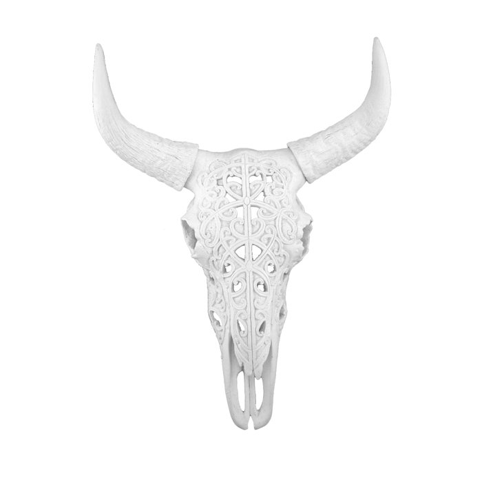 Bungalow Rose 17 Polyresin Bull Skull Wall Décor Wayfair Ca 17 Polyresin Bull Skull Wall Décor