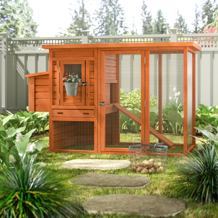 Archie Oscar Freddy Chicken Coop With Chicken Runnesting Box