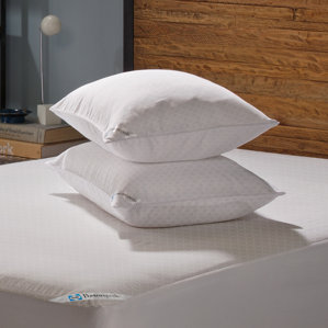 Allergy Hypoallergenic Waterproof Mattress Protector by Sealy