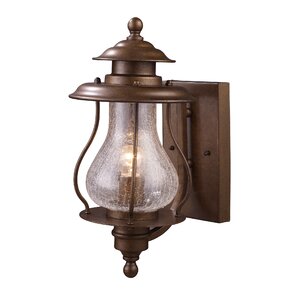 Wikshire 1-Light Outdoor Sconce