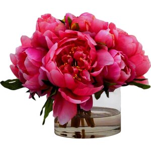 Peonies in Small Glass Cylinder
