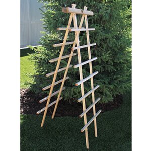 Novelty Trellis