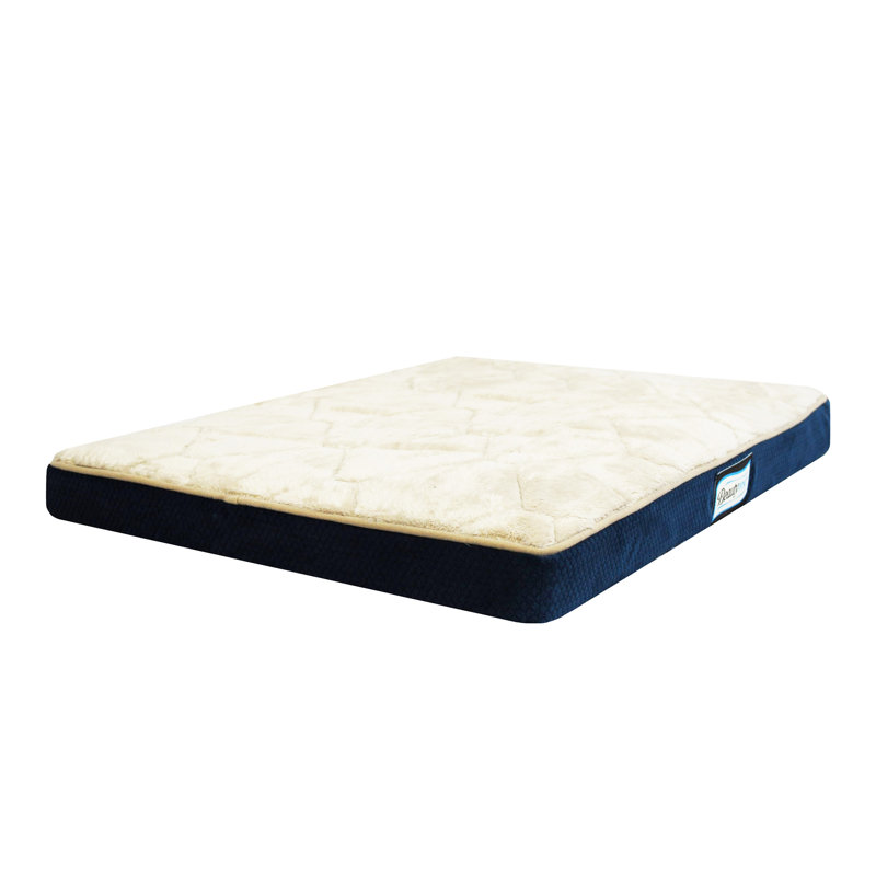 R2PPetLtd. Beautyrest Thera Bed Orthopedic Memory Foam Dog Bed & Reviews Wayfair