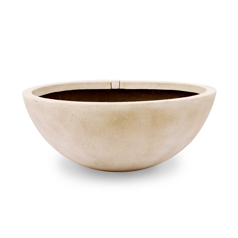 Aquascape Aquatic Patio Pond Pot Planter & Reviews Wayfair