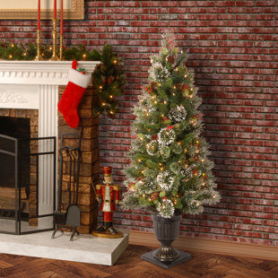 Flocked Christmas Trees You Ll Love Wayfair Pine 4 Green Artificial Christmas Tree With 50 Clear Lights Urn Base