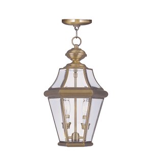 Violetta 2-Light Outdoor Hanging Lantern