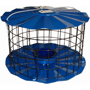 Bear Proof Bird Feeder Wayfair