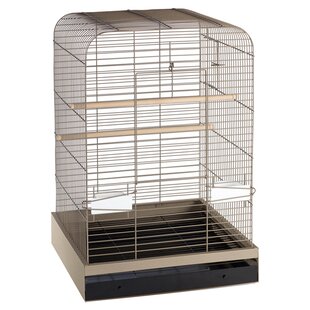 Table Top Bird Cages You'll Love | Wayfair