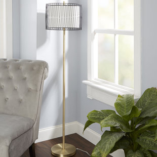 Wire Cage Floor Lamp | Wayfair Wire Cage Floor Lamp | Wayfair