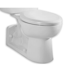 High Dual Flush Universal Toilet Bowl