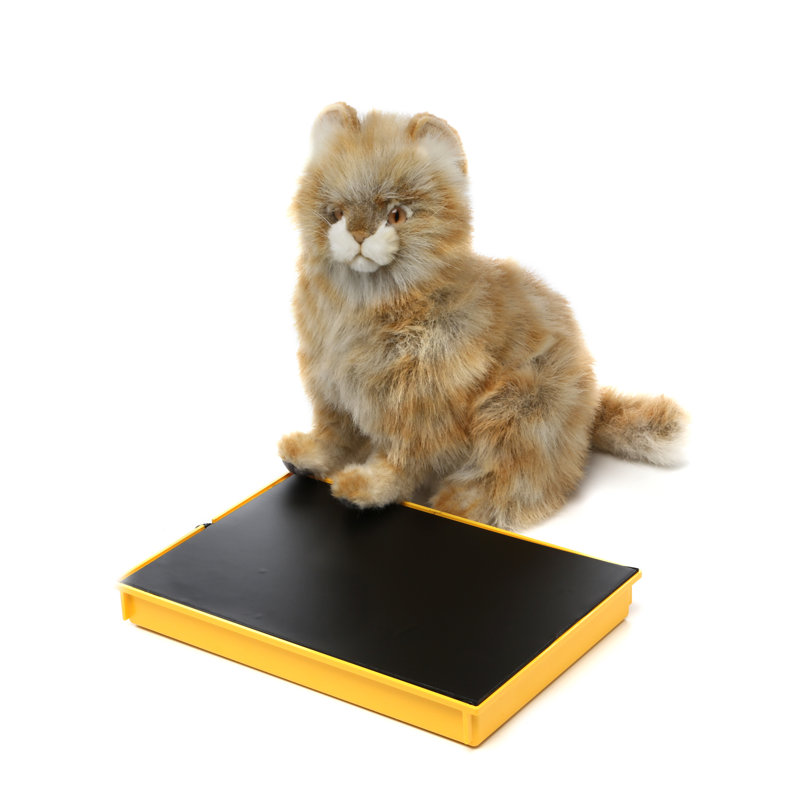 Katkabin Ecoglo Safe Warming Cat House Pad Wayfair Ecoglo Safe Warming Cat House Pad