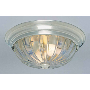 2-Light Ceiling Fixture Flush Mount