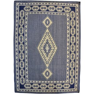 Navy Area Rug