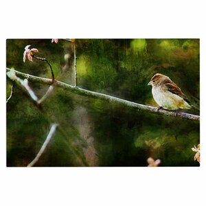 Ginkelmier Painted Songbird Nature Doormat