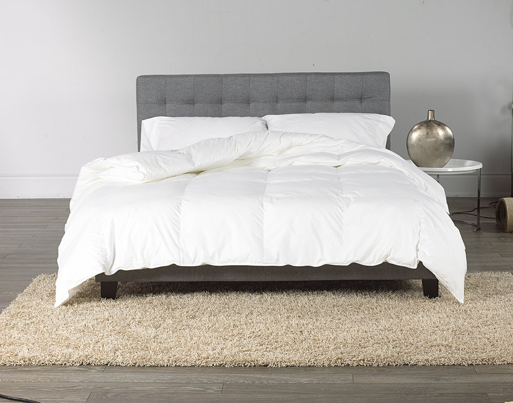 Westex Canadian Down Comforter Reviews Wayfair Canadian Down Comforter